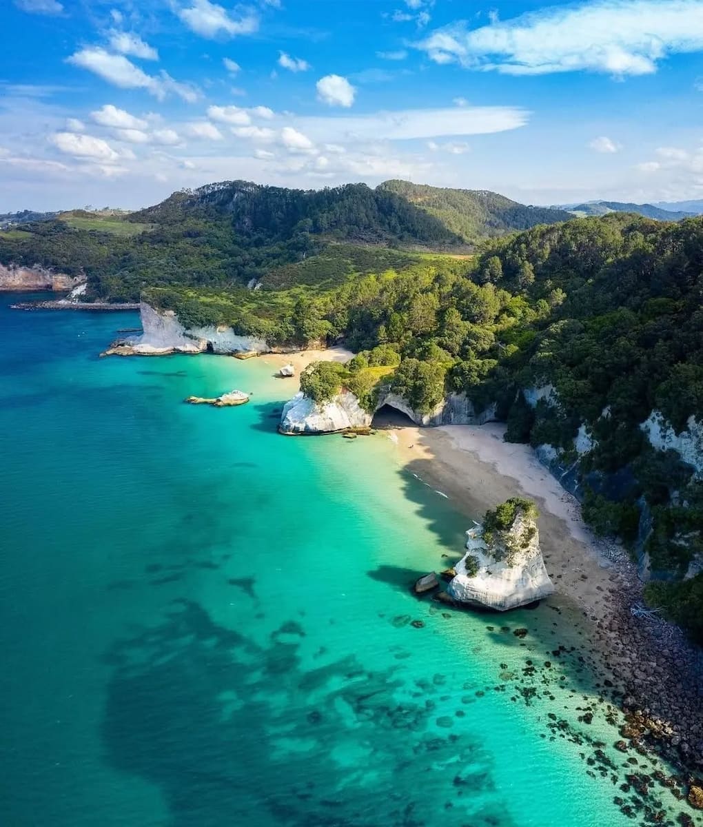 Summer in New Zealand Summer in New Zealand