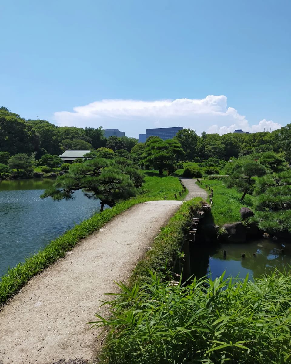 Summer in Tokyo Summer in Tokyo