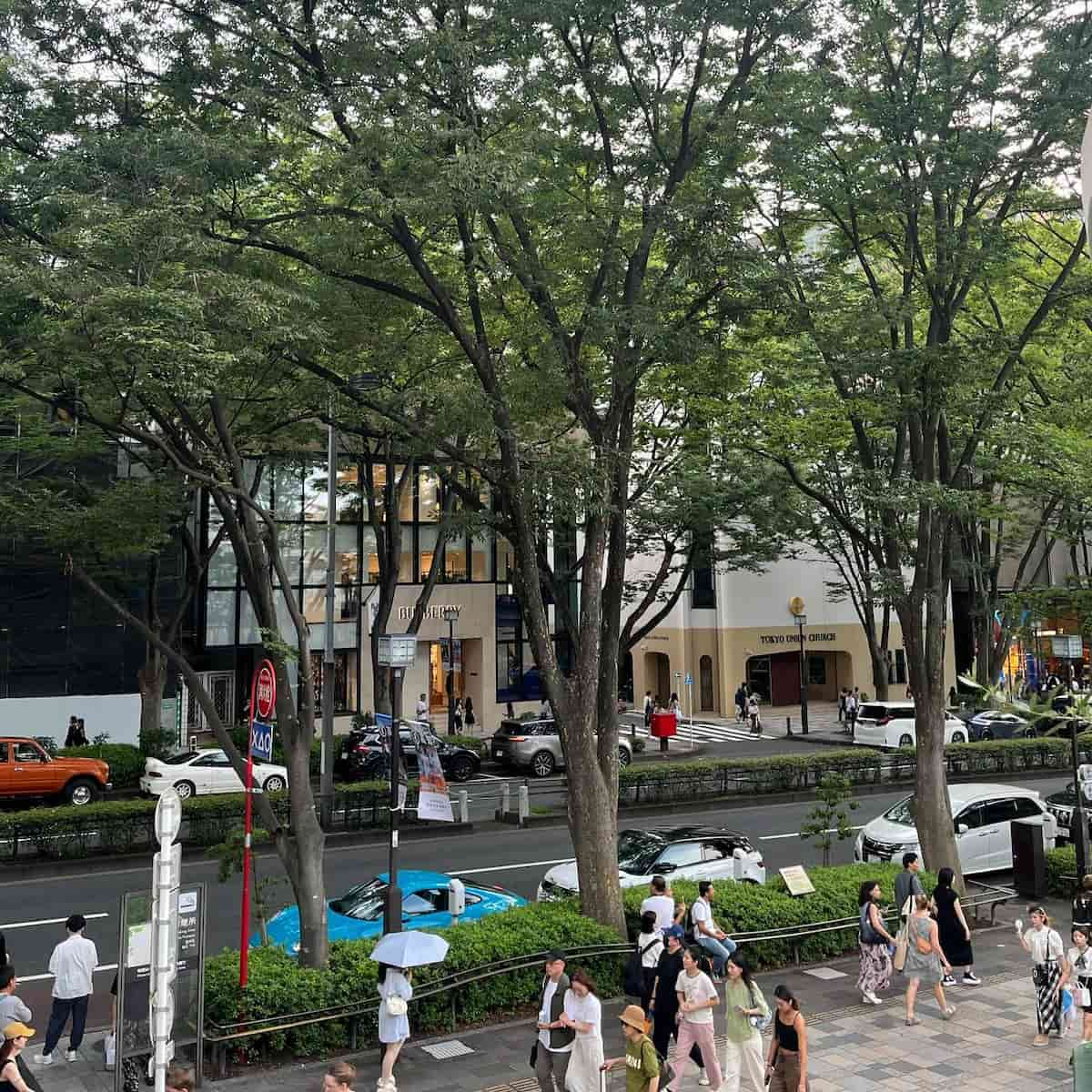 Summer in Tokyo Summer in Tokyo