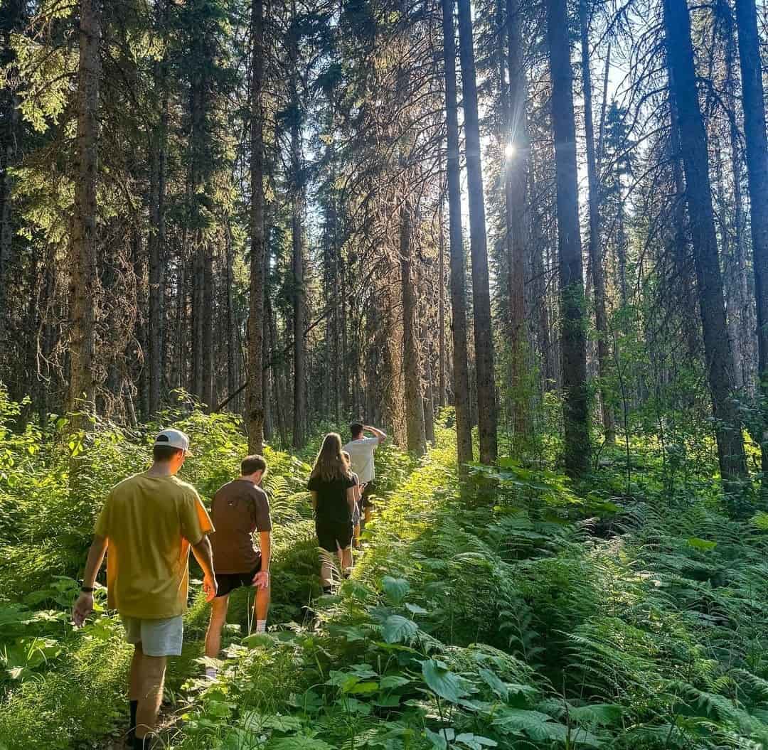 Summer awakening Glacier National Park, USA Summer awakening Glacier National Park, USA