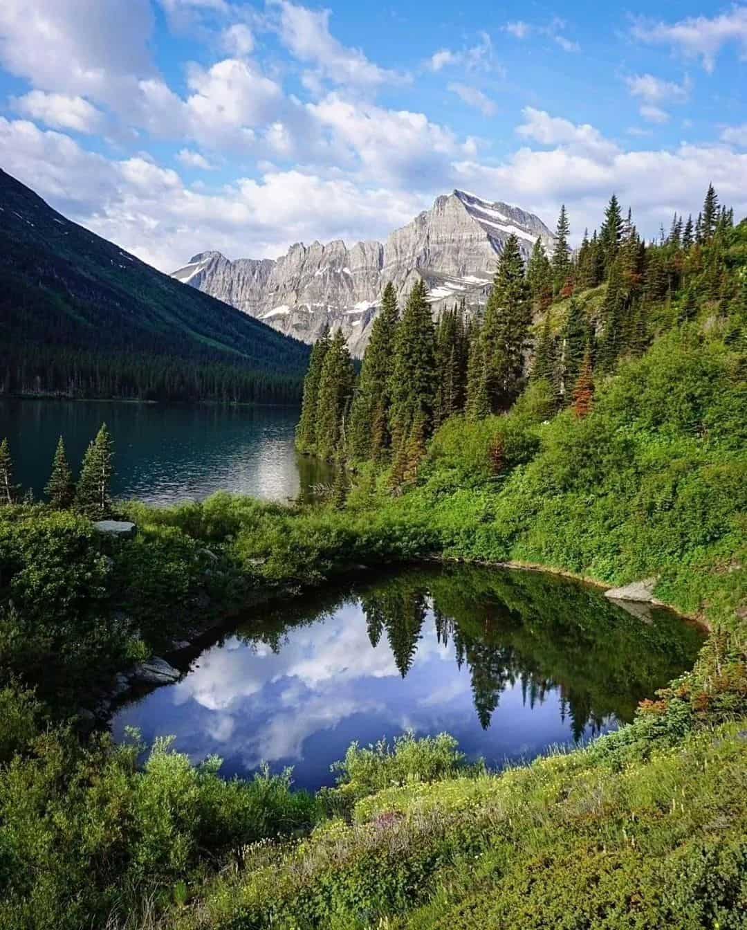 Summer awakening Glacier National Park, USA Summer awakening Glacier National Park, USA