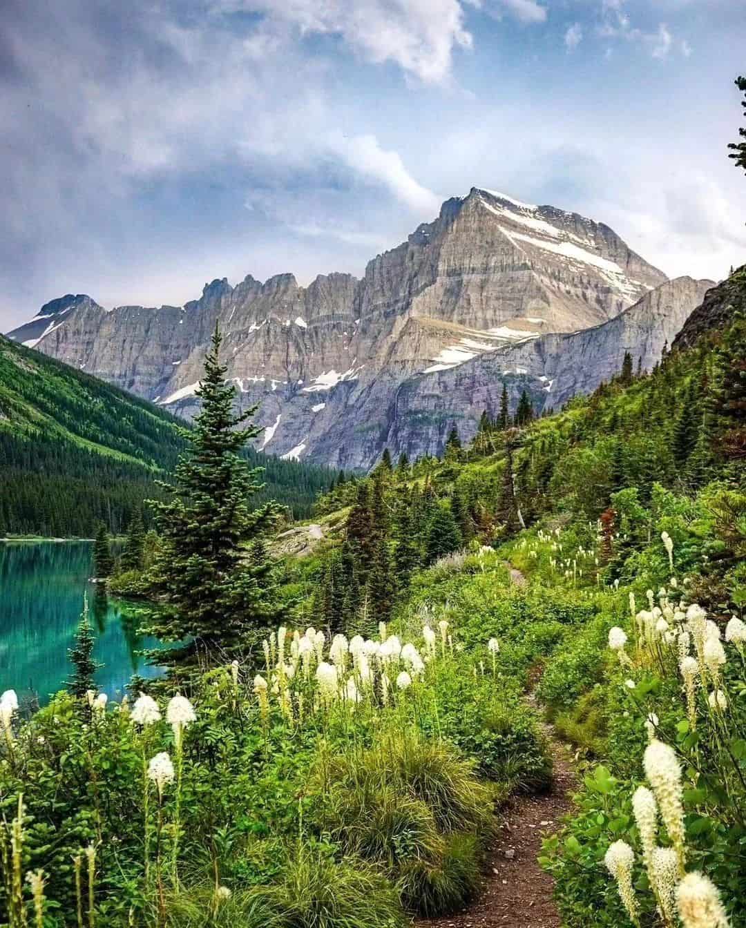 Summer awakening Glacier National Park, USA Summer awakening Glacier National Park, USA