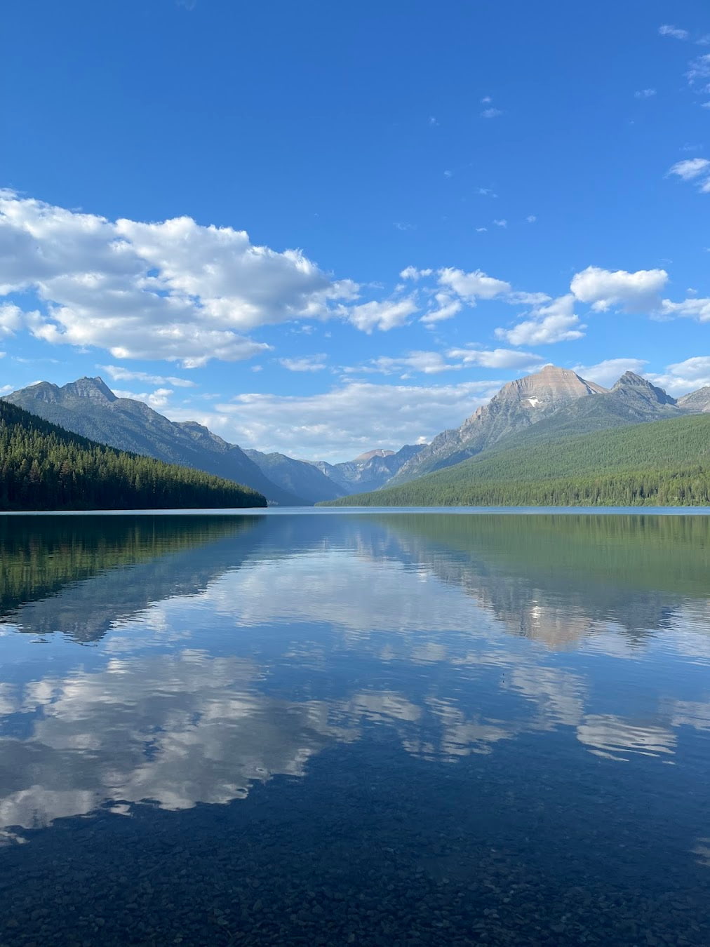 The North Fork, Bowman Lake, USA The North Fork, Bowman Lake, USA