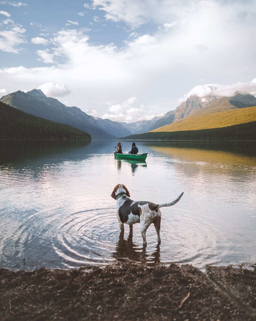 The North Fork, Bowman Lake, USA The North Fork, Bowman Lake, USA
