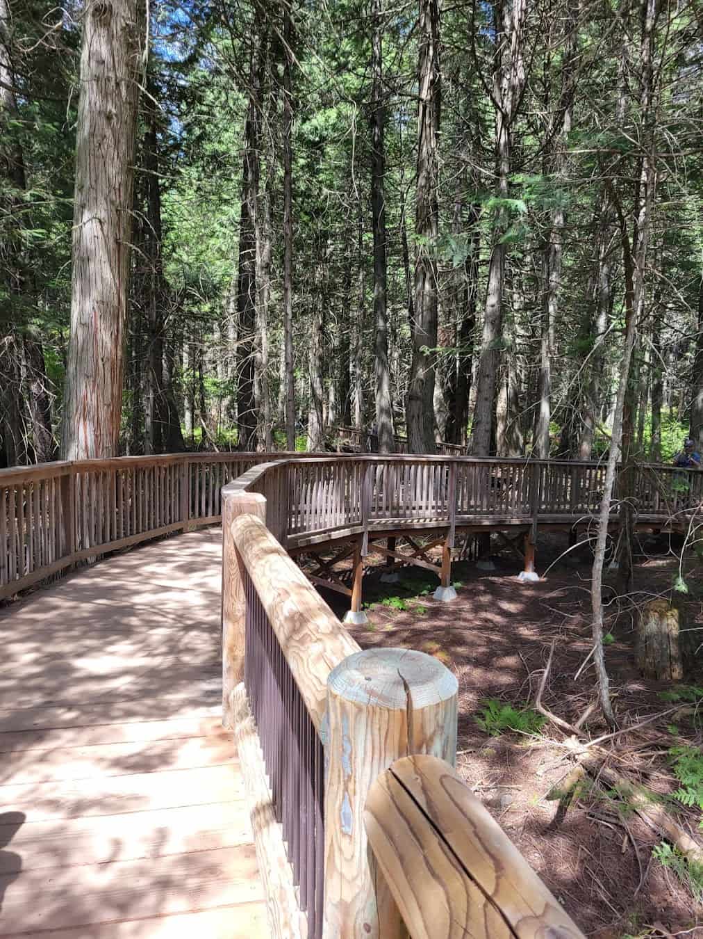 Trail of the Cedars, USA Trail of the Cedars, USA