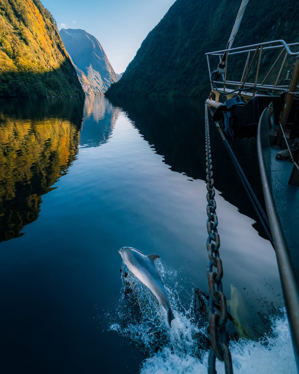 Traveling around New Zealand (12) Traveling around New Zealand