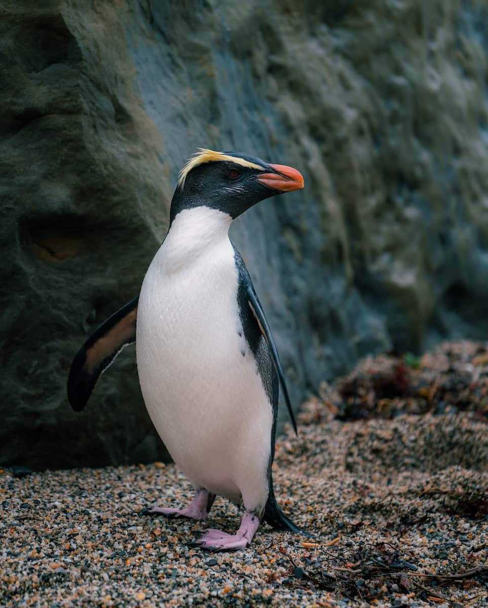 Traveling around New Zealand Traveling around New Zealand