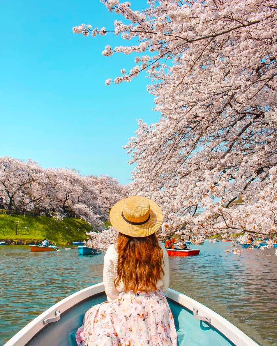 Chidorigafuchi, Japan Chidorigafuchi, Japan