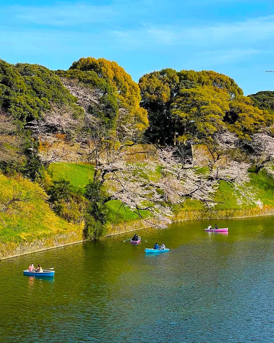 Chidorigafuchi, Japan Chidorigafuchi, Japan