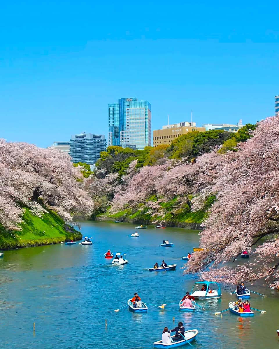 Chidorigafuchi, Japan Chidorigafuchi, Japan