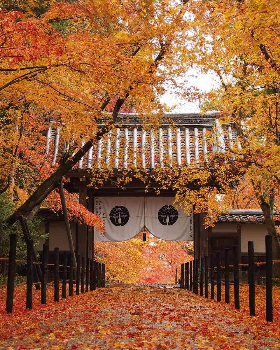 Kyoto, Japan Kyoto, Japan