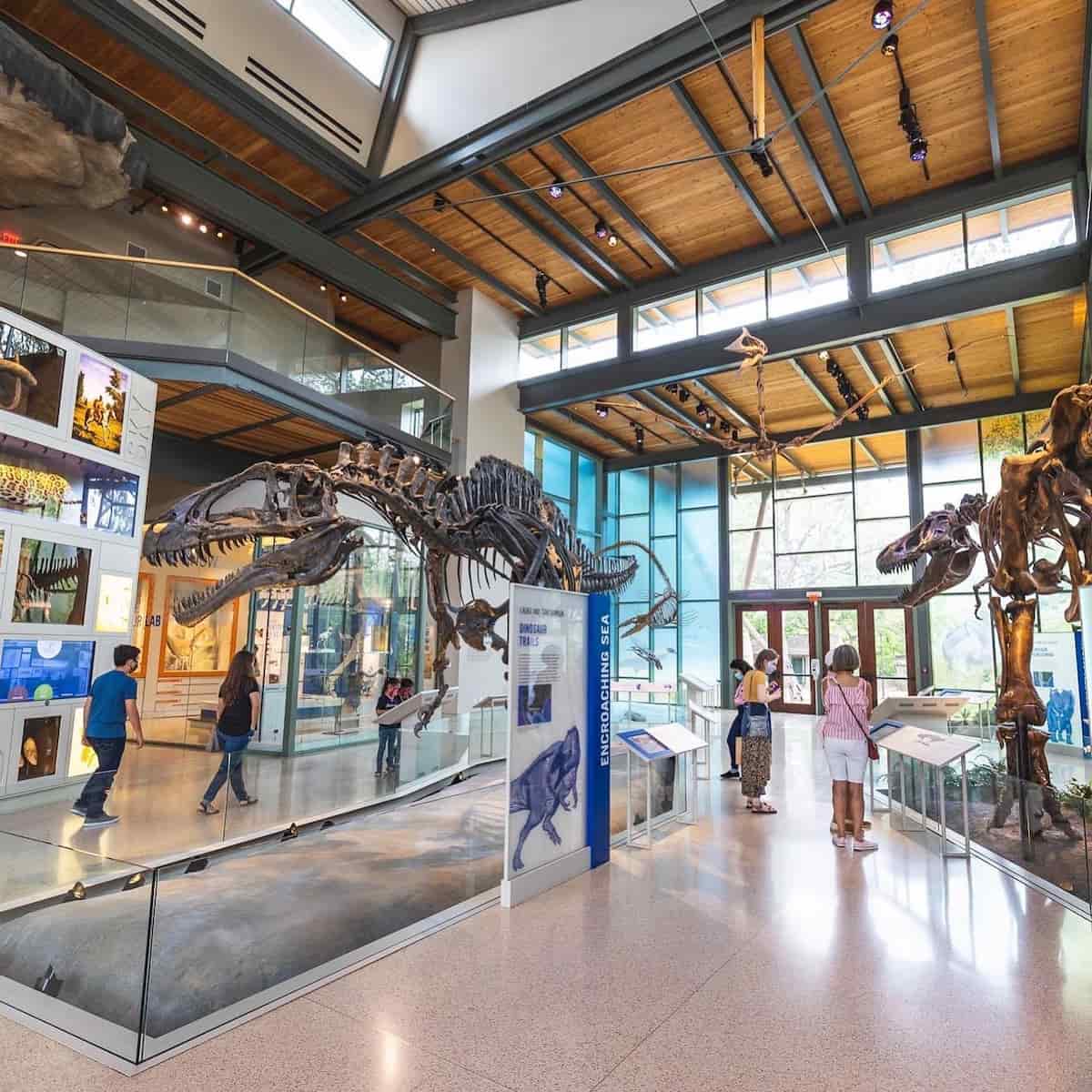 Alamo Heights San Antonio Alamo Heights San Antonio