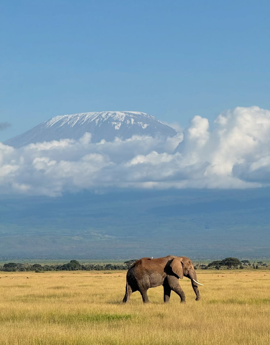 Amboseli National Park, Kenya Amboseli National Park, Kenya