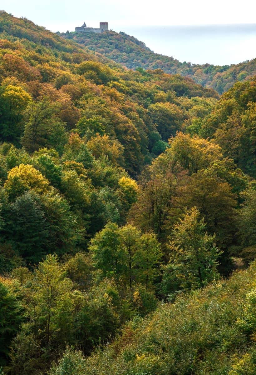 Asheville Airport Area Asheville Airport Area
