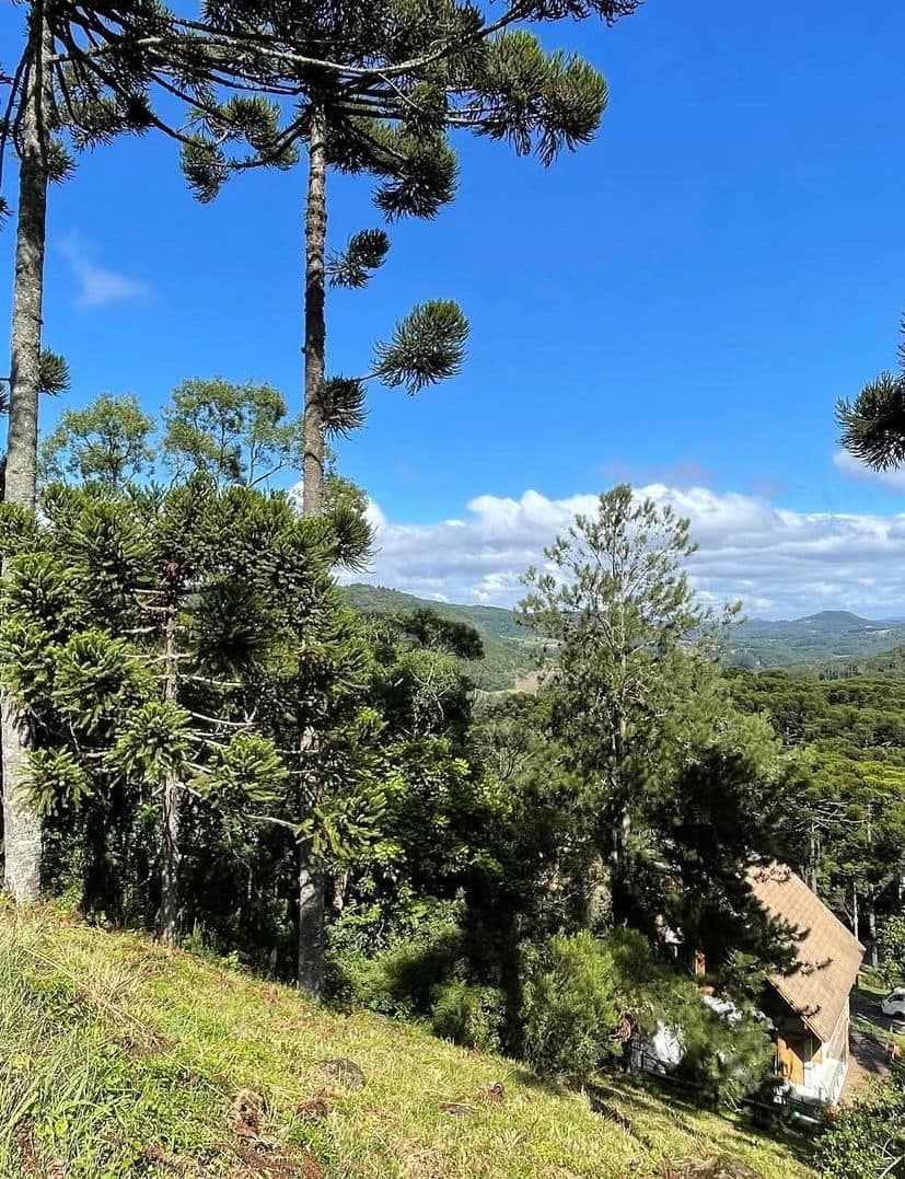 Aspen Mountain Base Area Aspen Mountain Base Area