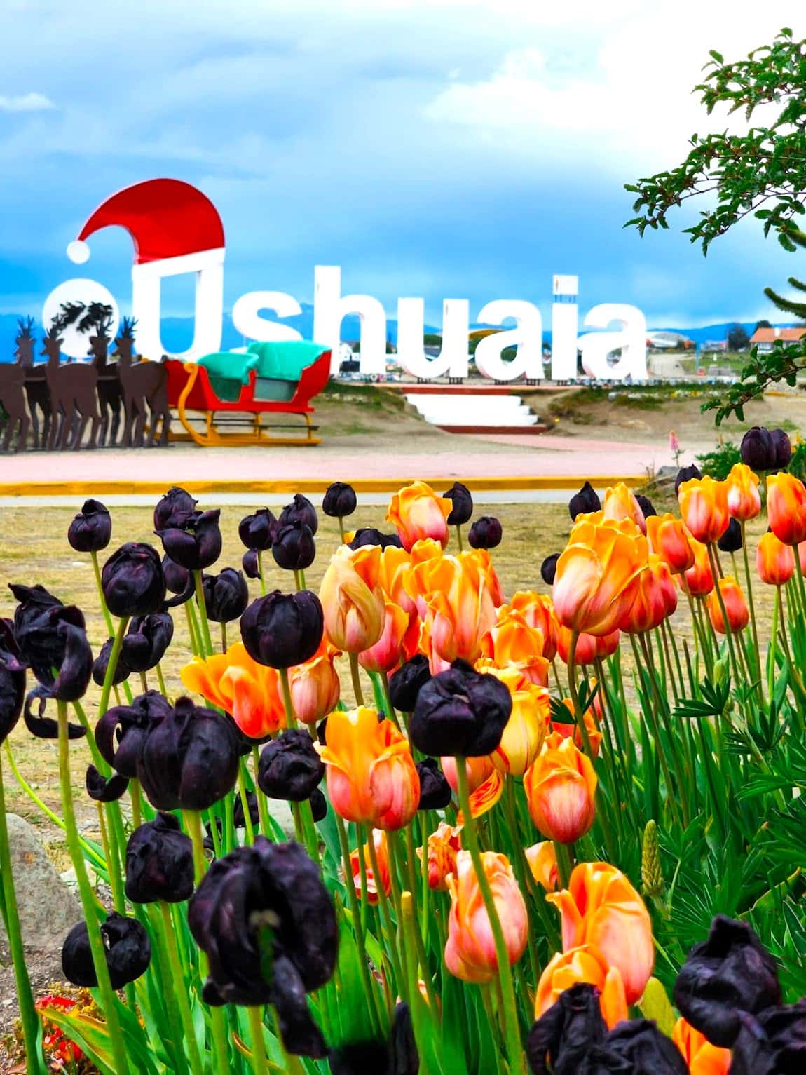 Bahía Encerrada Area, Ushuaia Bahía Encerrada Area, Ushuaia