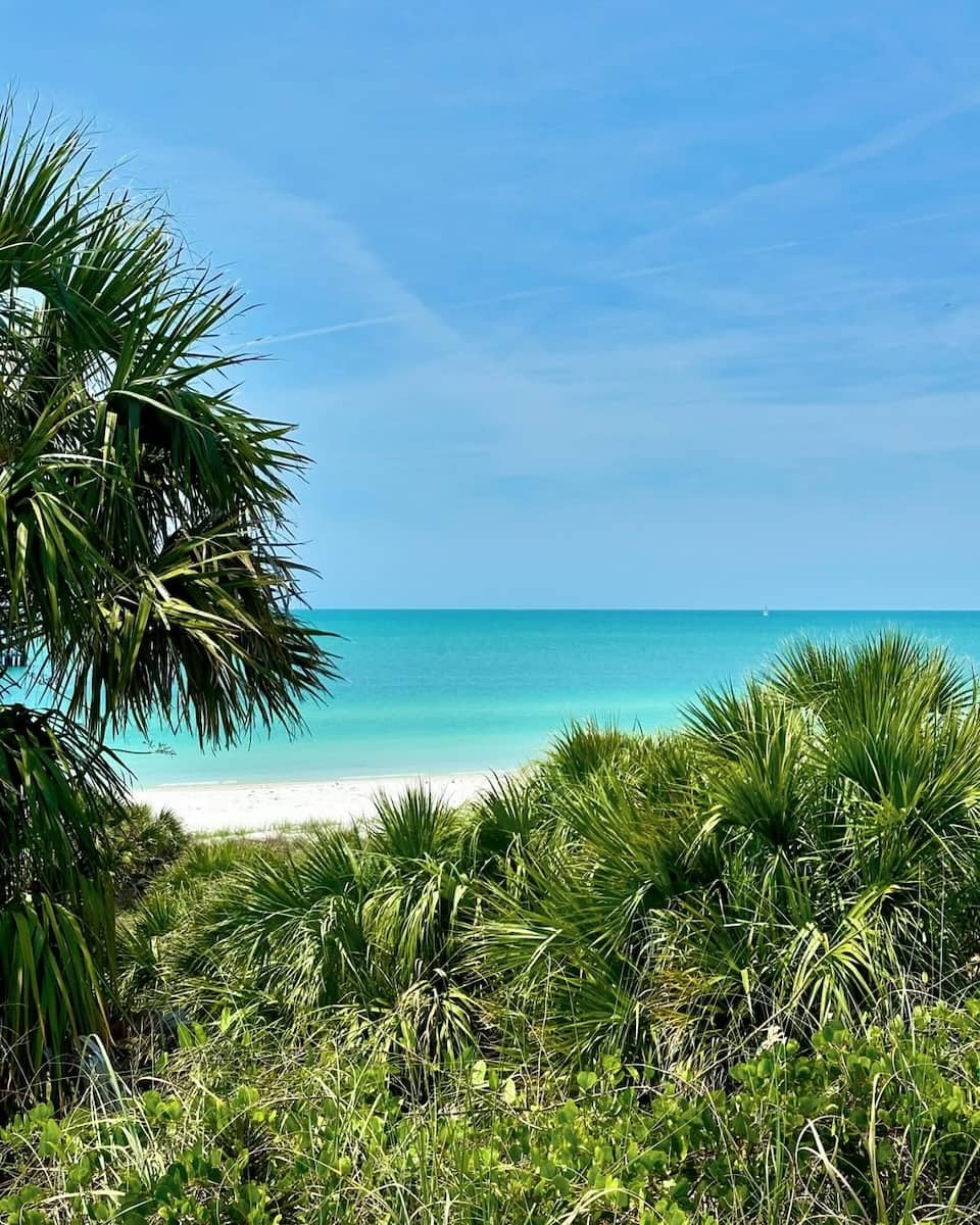 Beaches Near,Tampa Beaches Near,Tampa