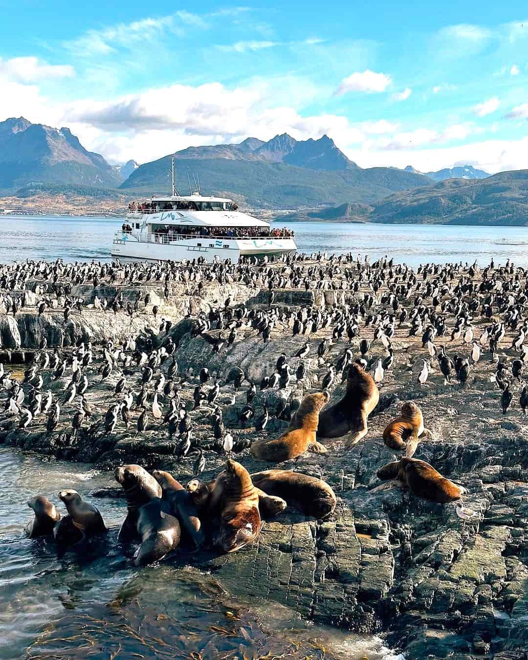Beagle Channel Waterfront, Ushuaia Beagle Channel Waterfront, Ushuaia