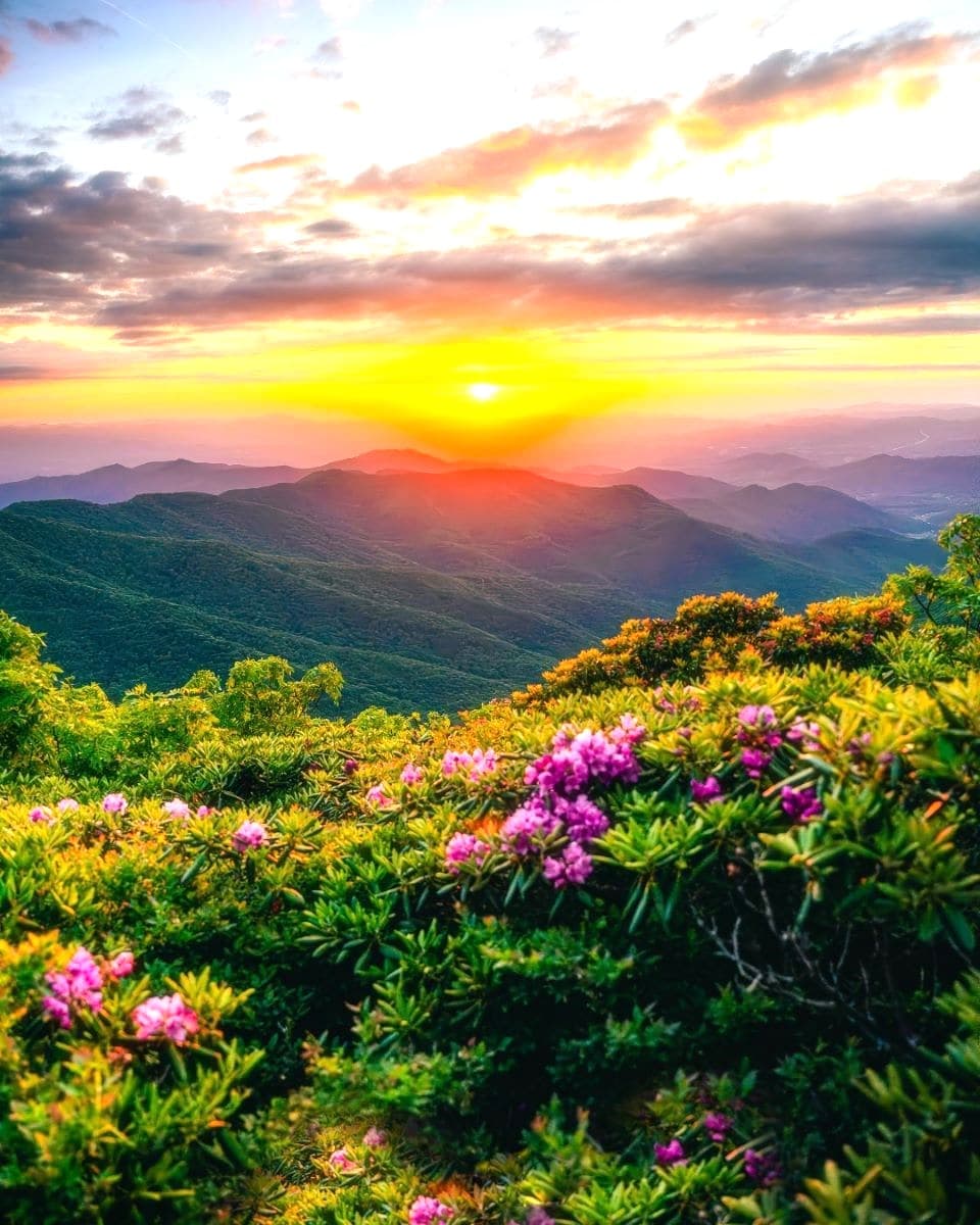 Asheville Biltmore Village Asheville Biltmore Village