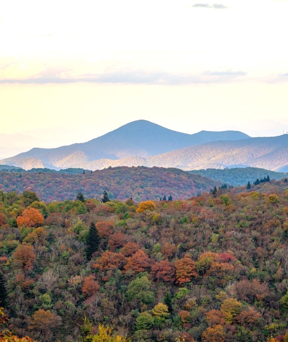 Asheville Biltmore Village Asheville Biltmore Village