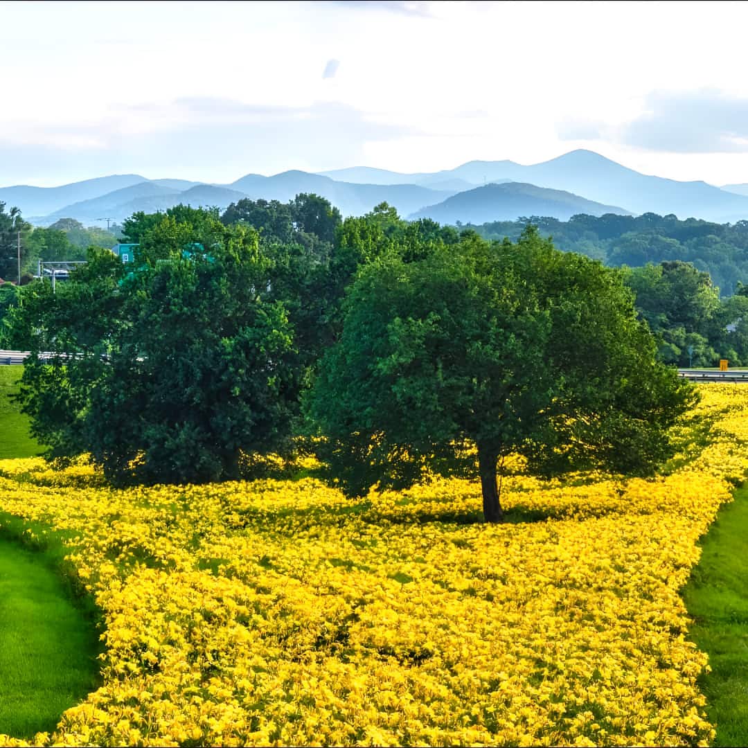 Asheville Biltmore Village Asheville Biltmore Village