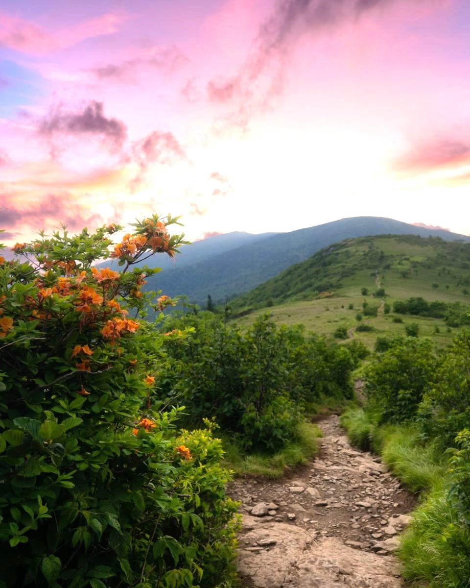 Asheville Biltmore Village Asheville Biltmore Village