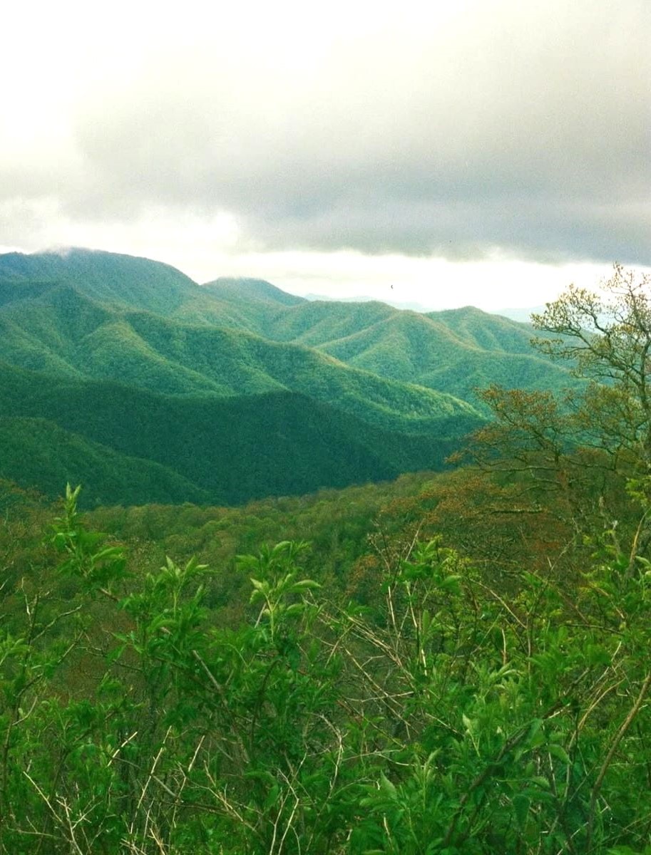 Asheville Biltmore Village Asheville Biltmore Village