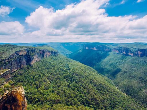Blue Mountains