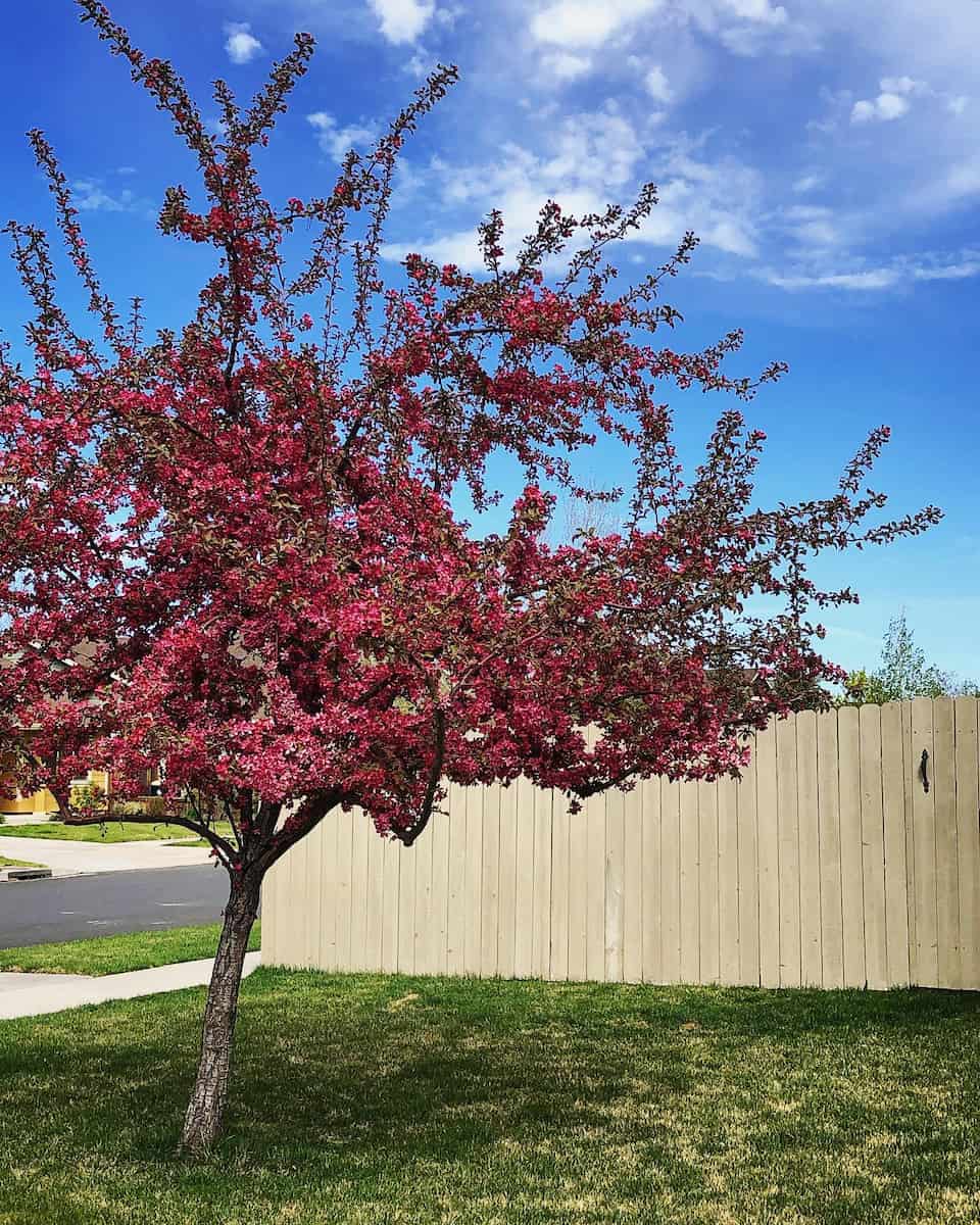 Boyd Acres, Bend Boyd Acres, Bend