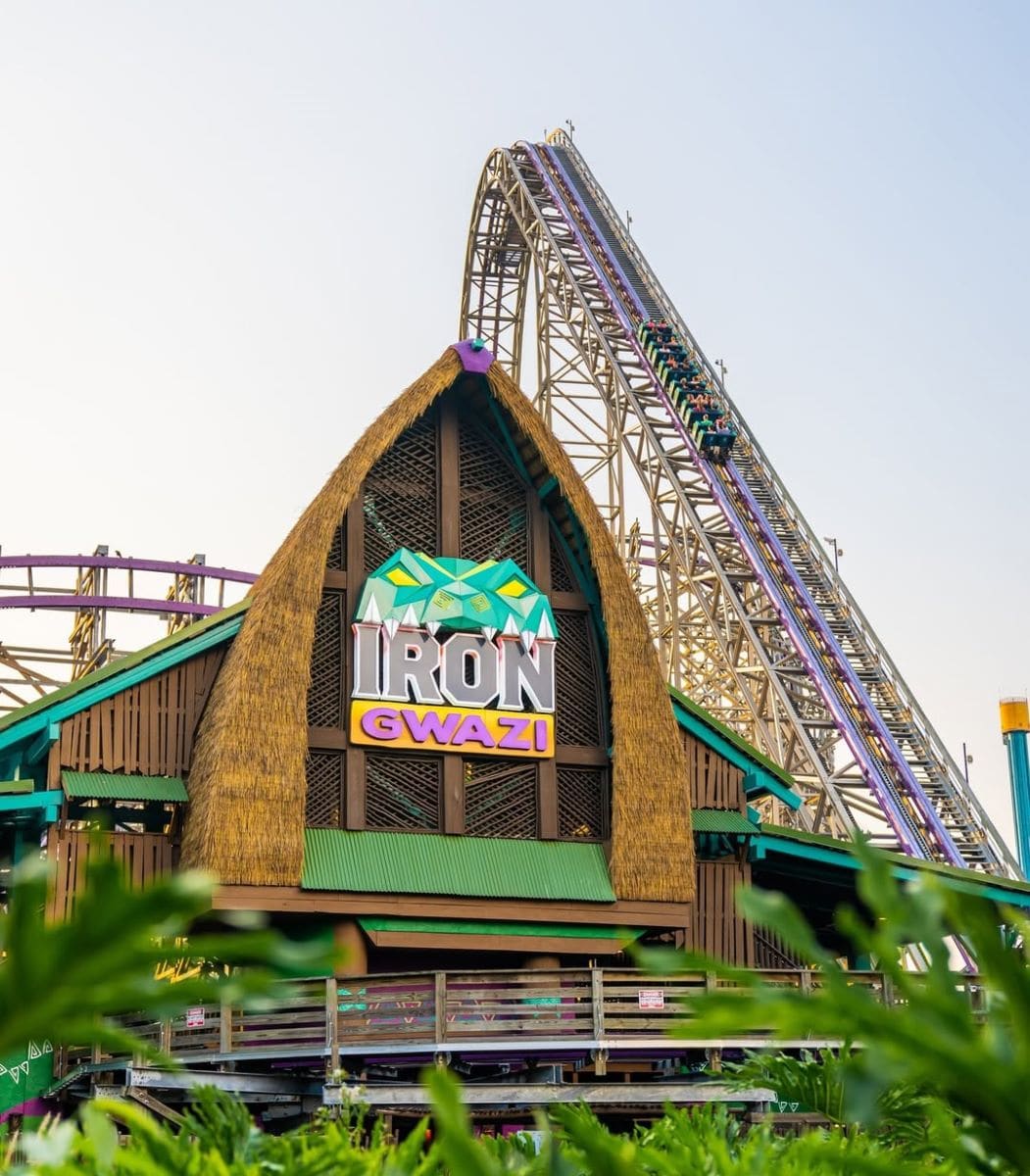 Busch Gardens, Tampa Busch Gardens, Tampa