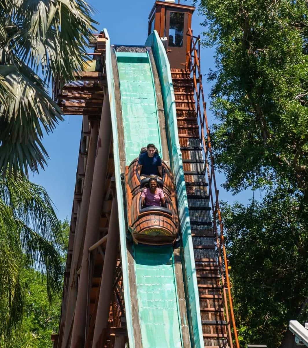 Busch Gardens, Tampa Busch Gardens, Tampa