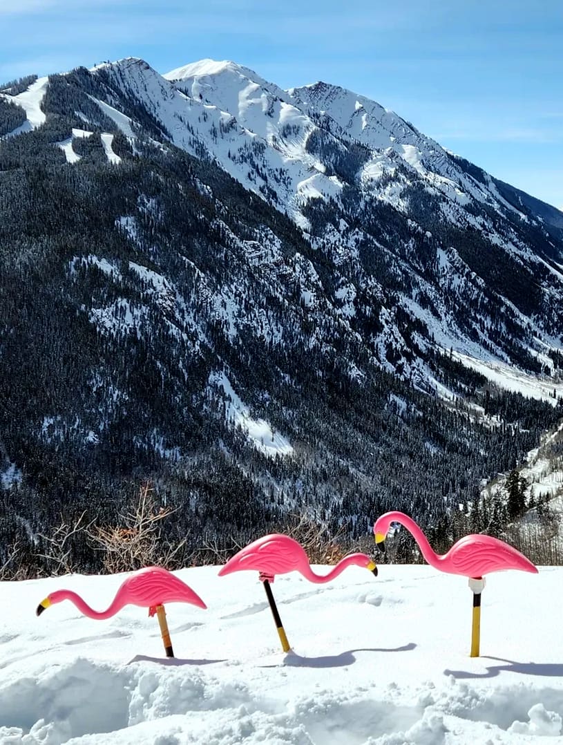 Buttermilk Area Buttermilk Area