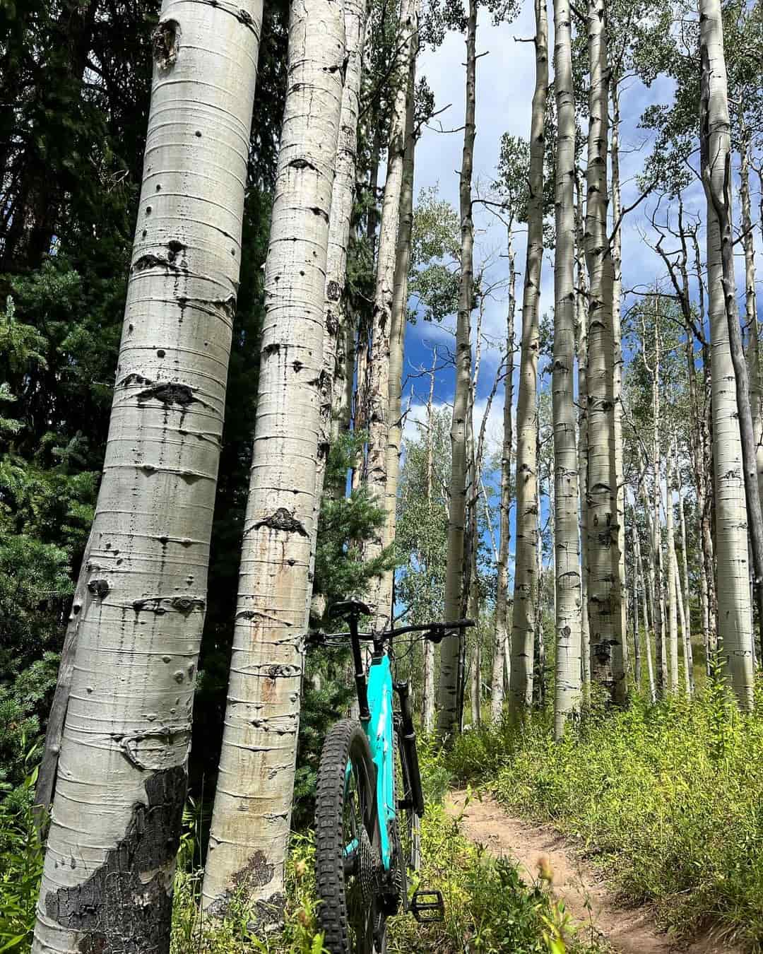 Buttermilk Area Buttermilk Area