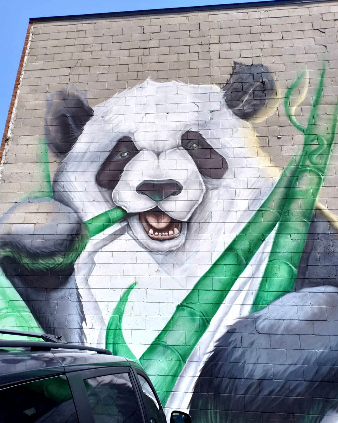 Chinatown, Ottawa Chinatown, Ottawa