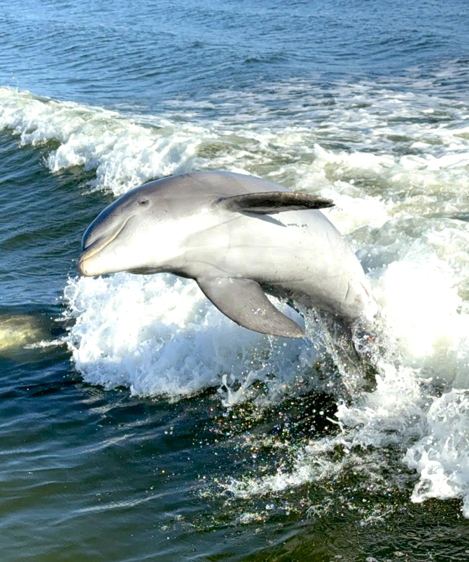 Chokoloskee Island, Everglades National Park Chokoloskee Island, Everglades National Park