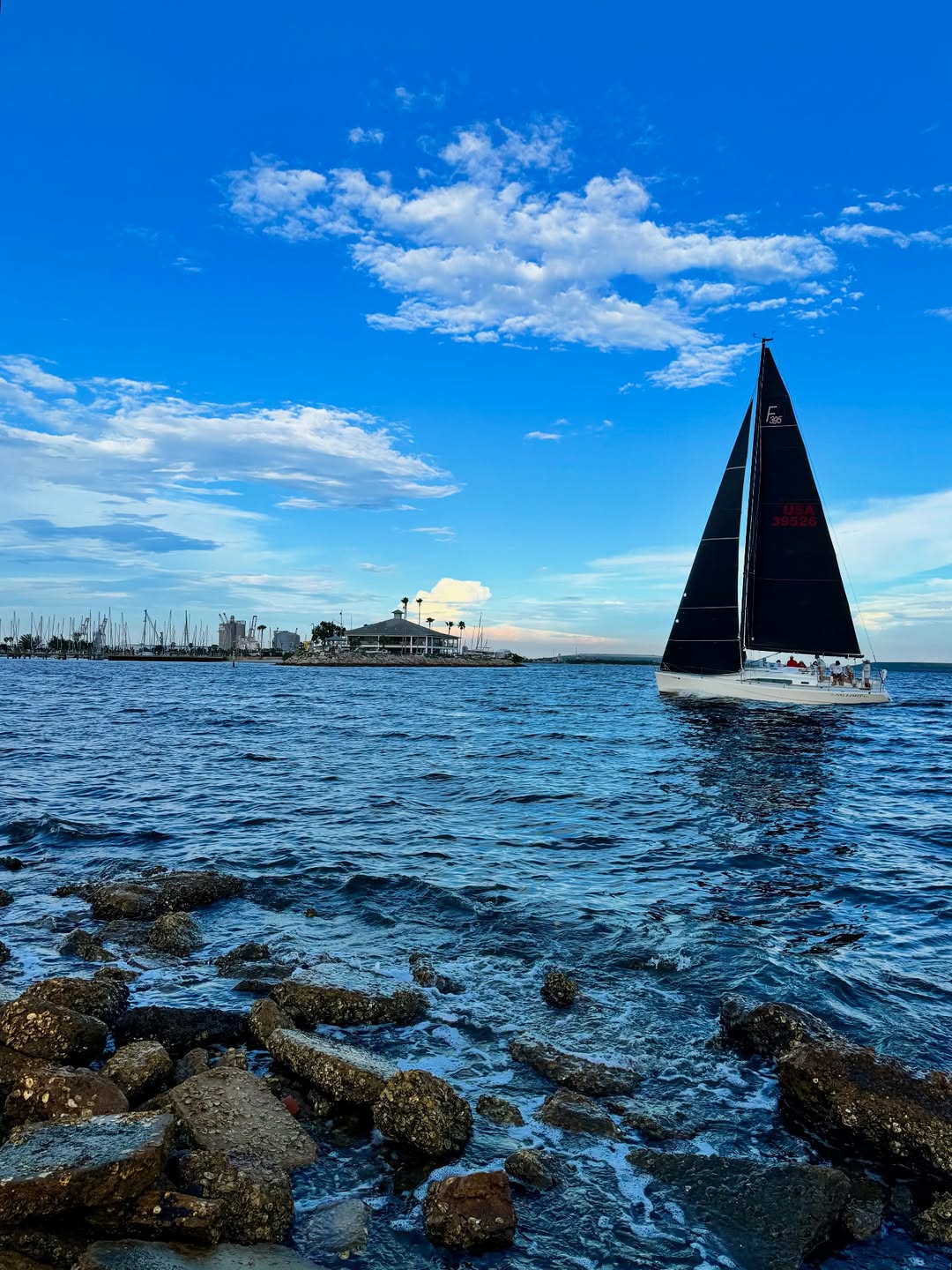 Davis Islands, Tampa Davis Islands, Tampa