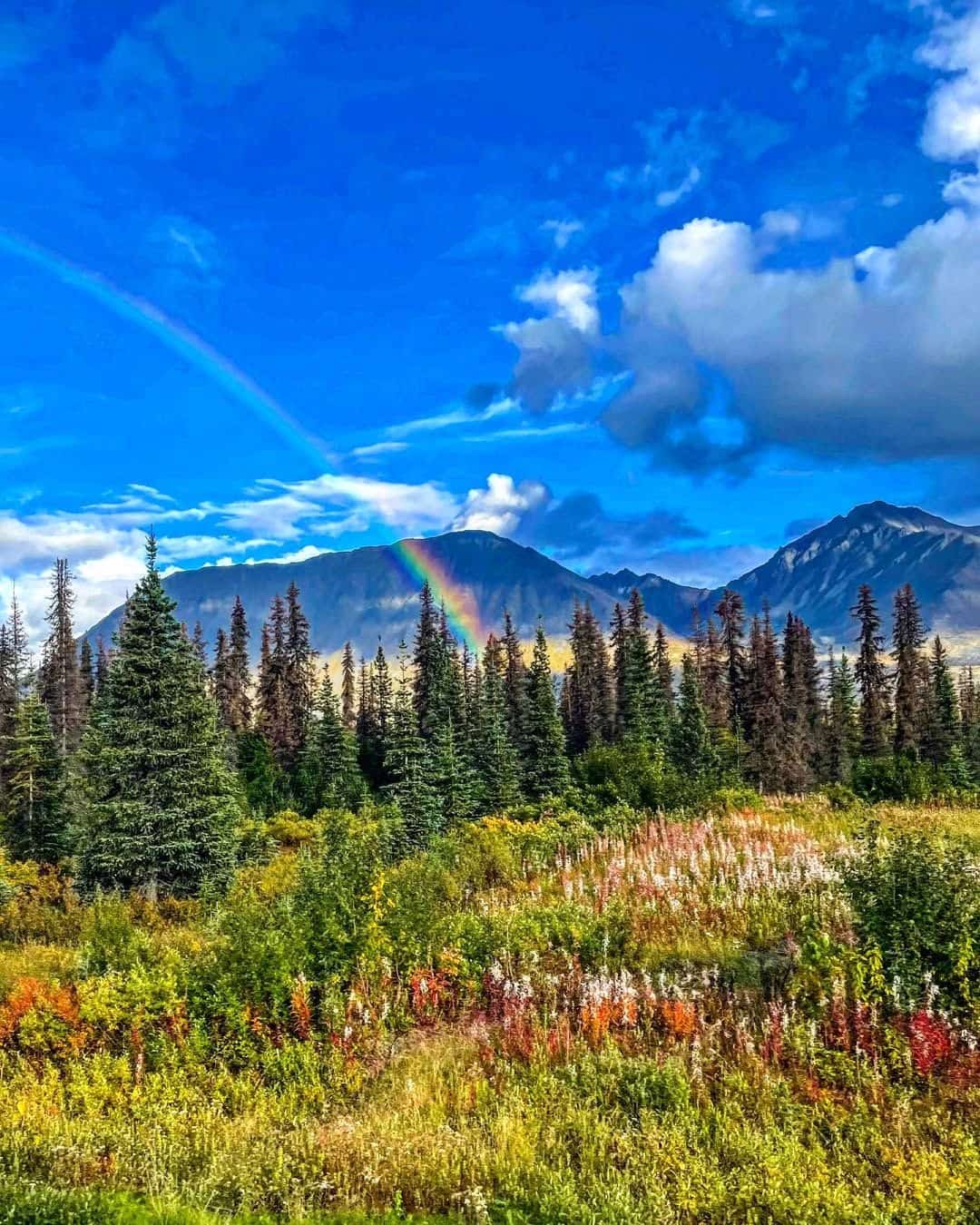 Denali State Park, Alaska Denali State Park, Alaska