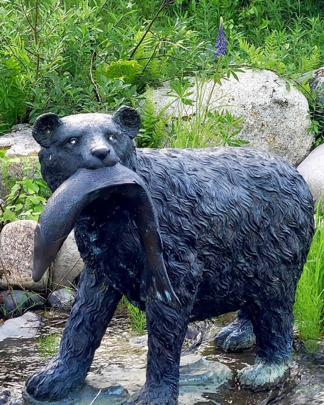 Denali State Park Denali State Park