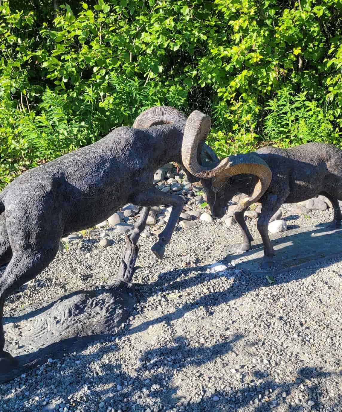 Denali State Park Denali State Park