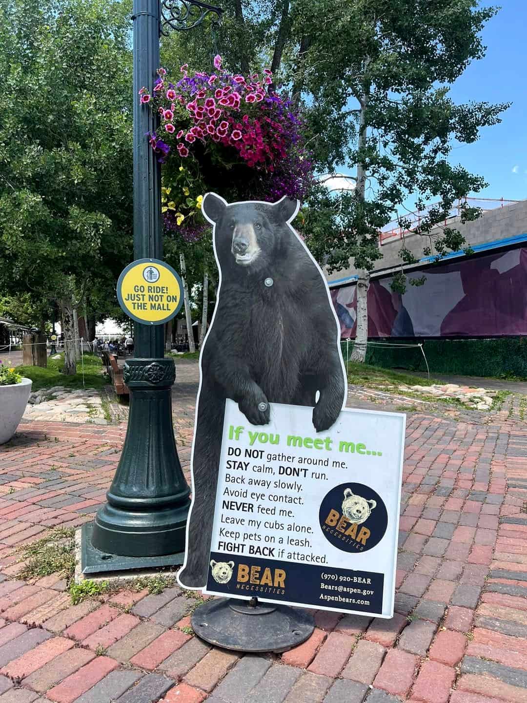 Downtown Aspen Downtown Aspen