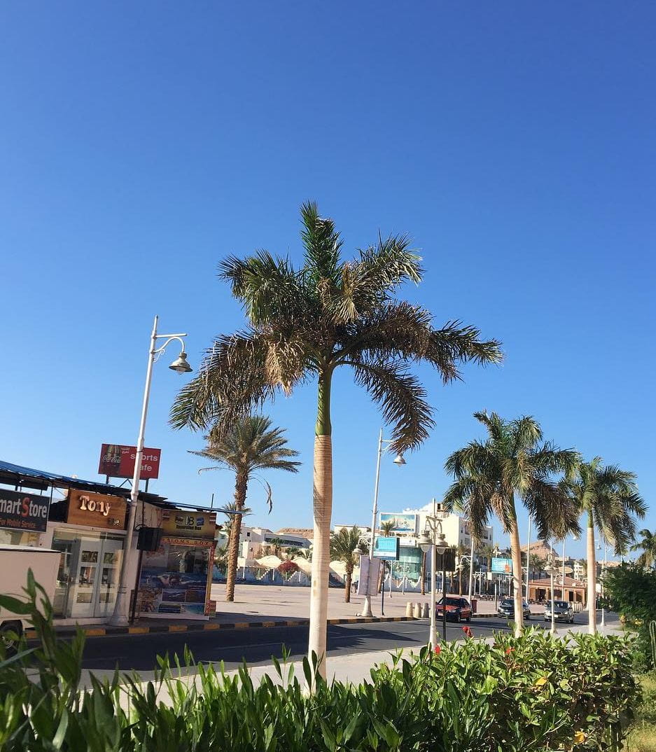 El Mamsha, Hurghada El Mamsha, Hurghada