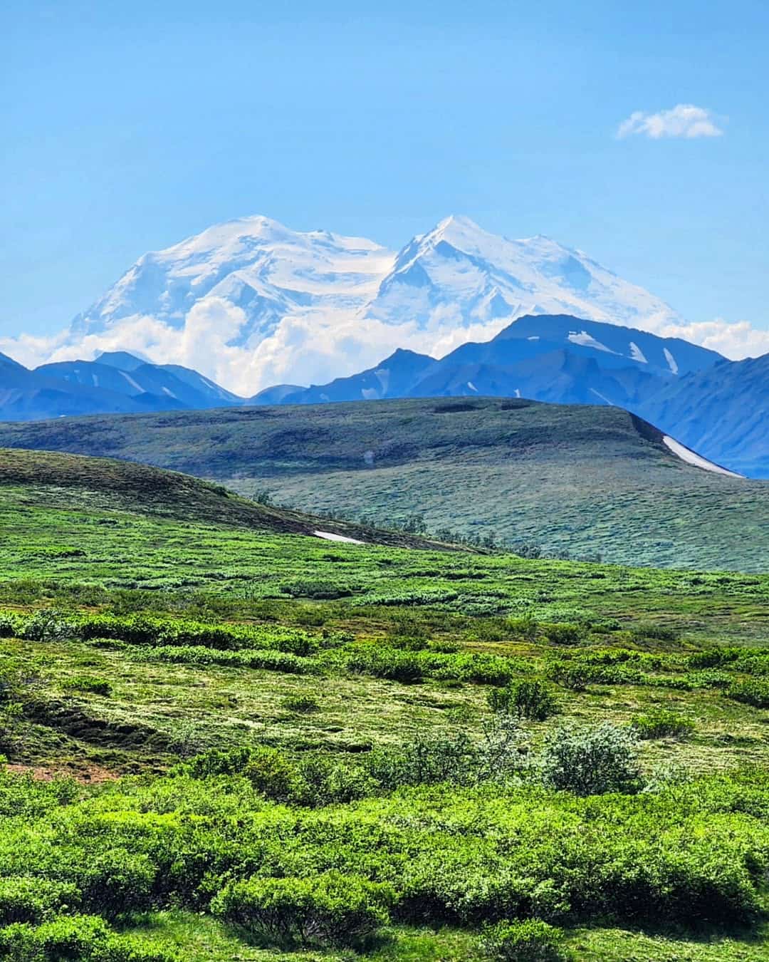 Entrance Area, Denali National Park Entrance Area, Denali National Park