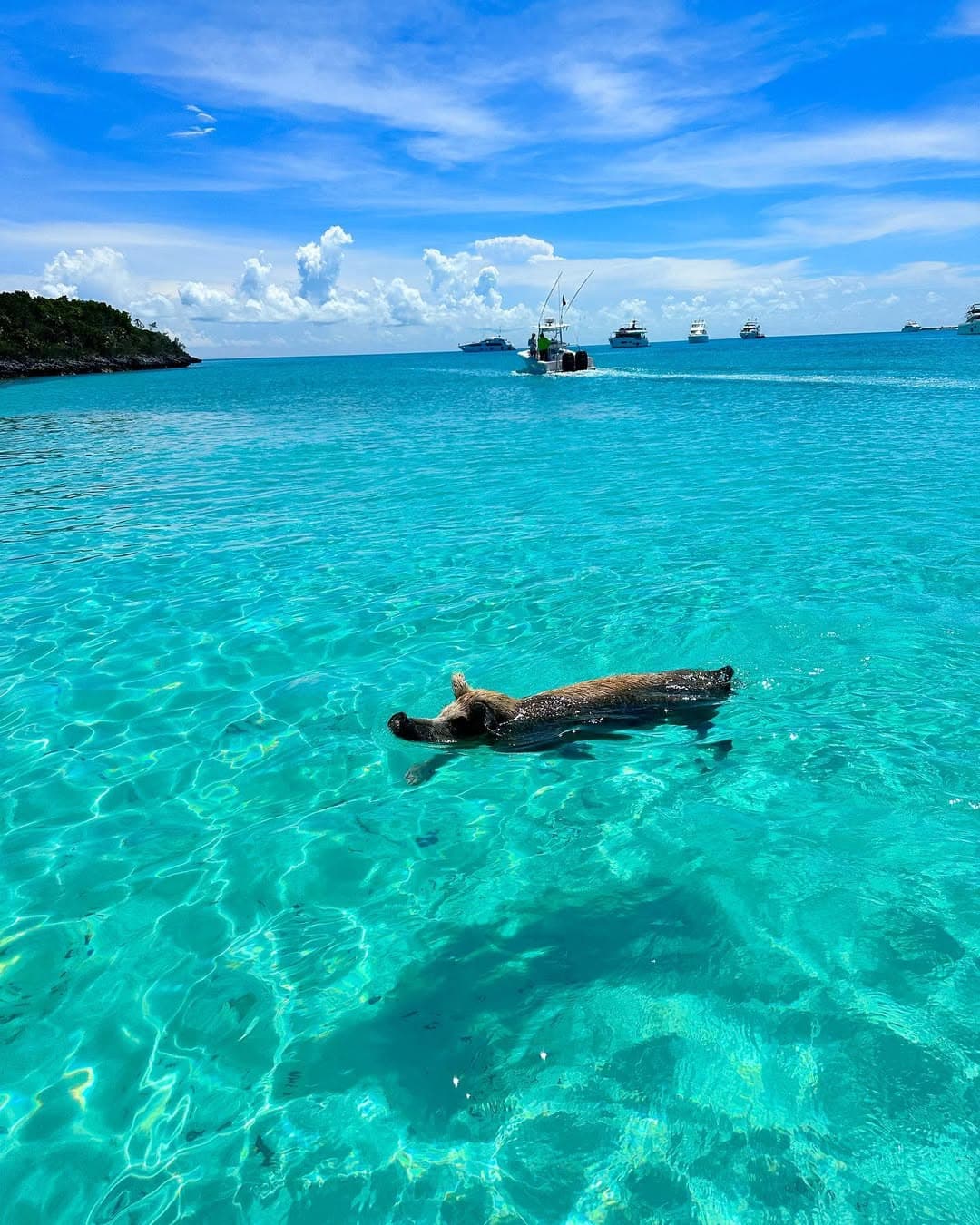 Exuma Cays Exuma Cays