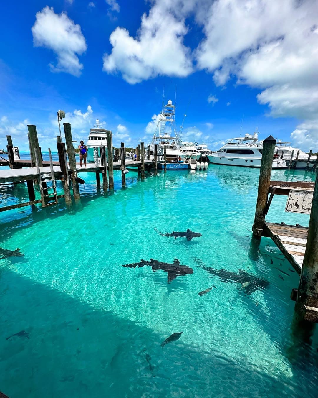 Exuma Cays Exuma Cays