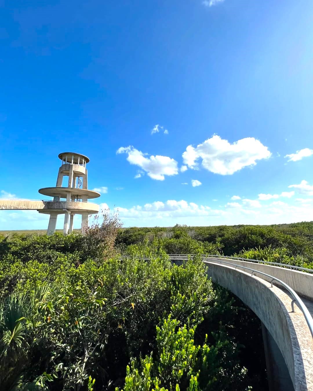 Flamingo Area, Everglades National Park Flamingo Area, Everglades National Park
