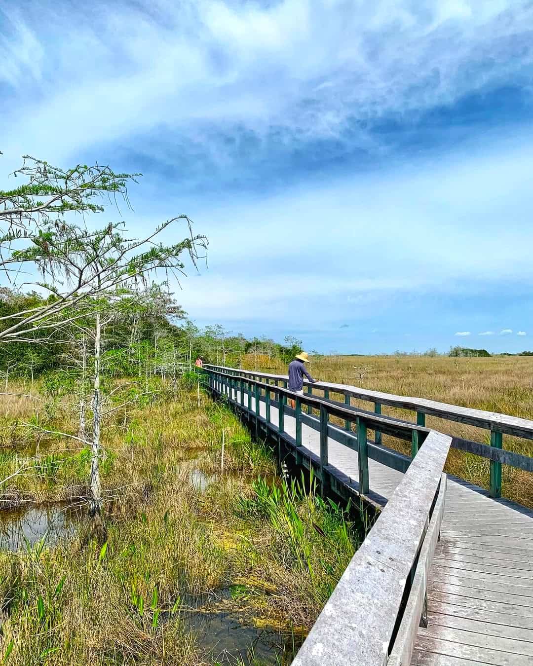 Flamingo Area, Everglades National Park Flamingo Area, Everglades National Park