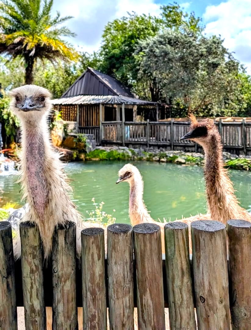 Flamingo Area, Everglades National Park Flamingo Area, Everglades National Park