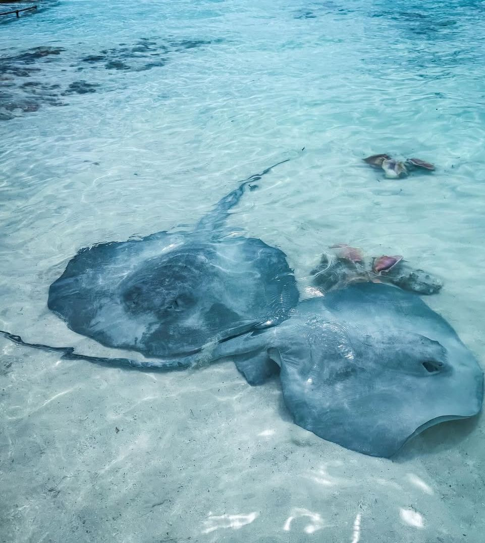 Great Exuma Great Exuma