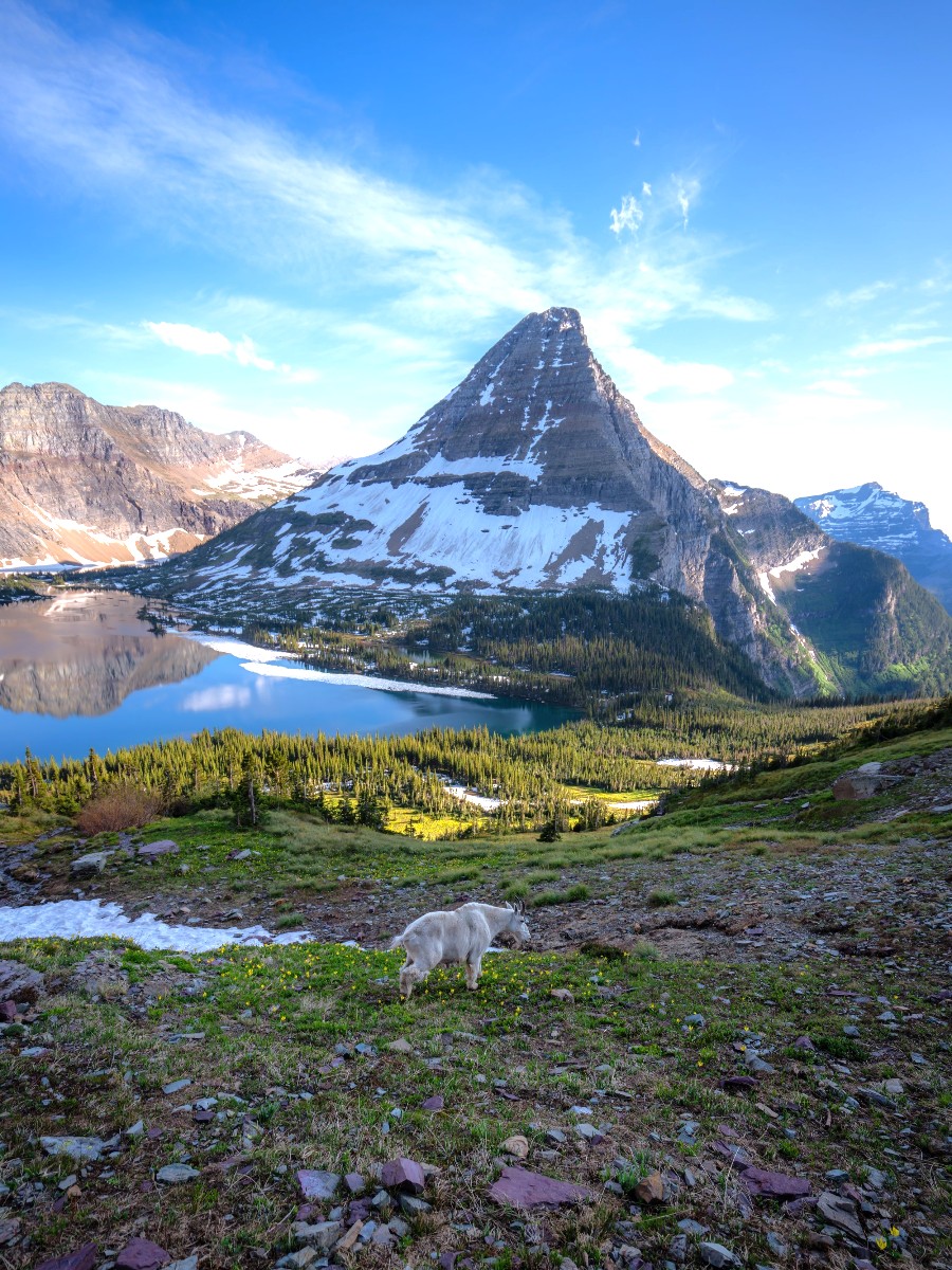 Hidden Lake Overlook, St Mary Montana, Montana Hidden Lake Overlook, St Mary Montana, Montana