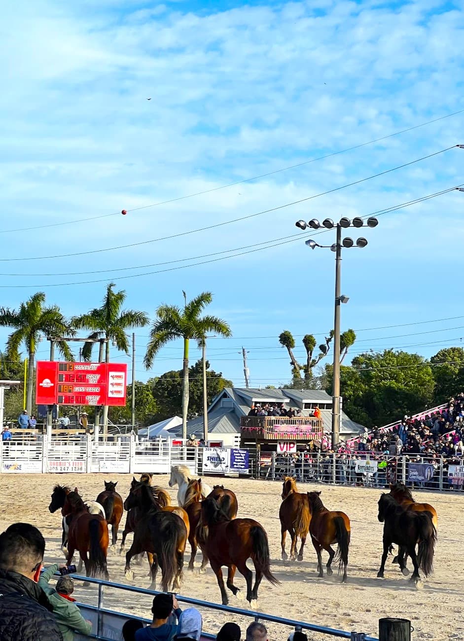 Homestead Area, Everglades National Park Homestead Area, Everglades National Park